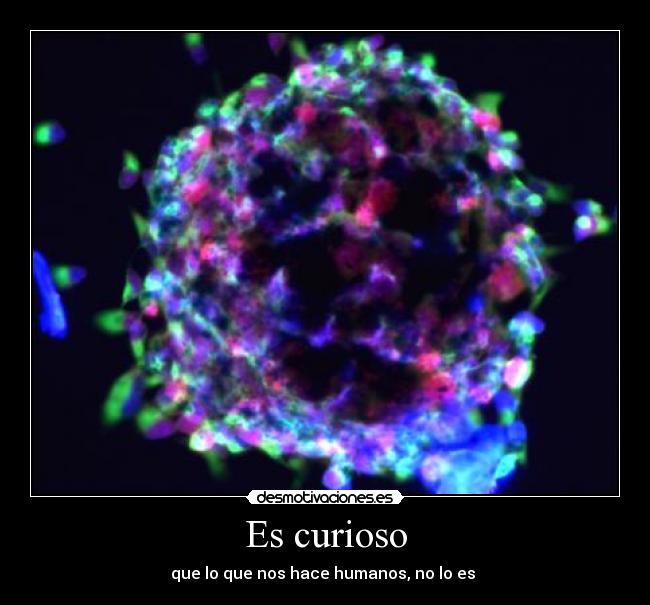 Es curioso - que lo que nos hace humanos, no lo es 