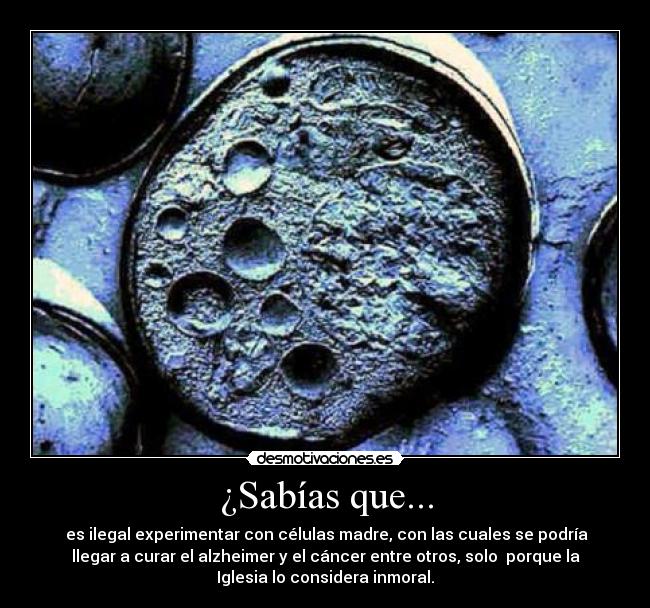¿Sabías que... -  es ilegal experimentar con células madre, con las cuales se podría
llegar a curar el alzheimer y el cáncer entre otros, solo  porque la
Iglesia lo considera inmoral.