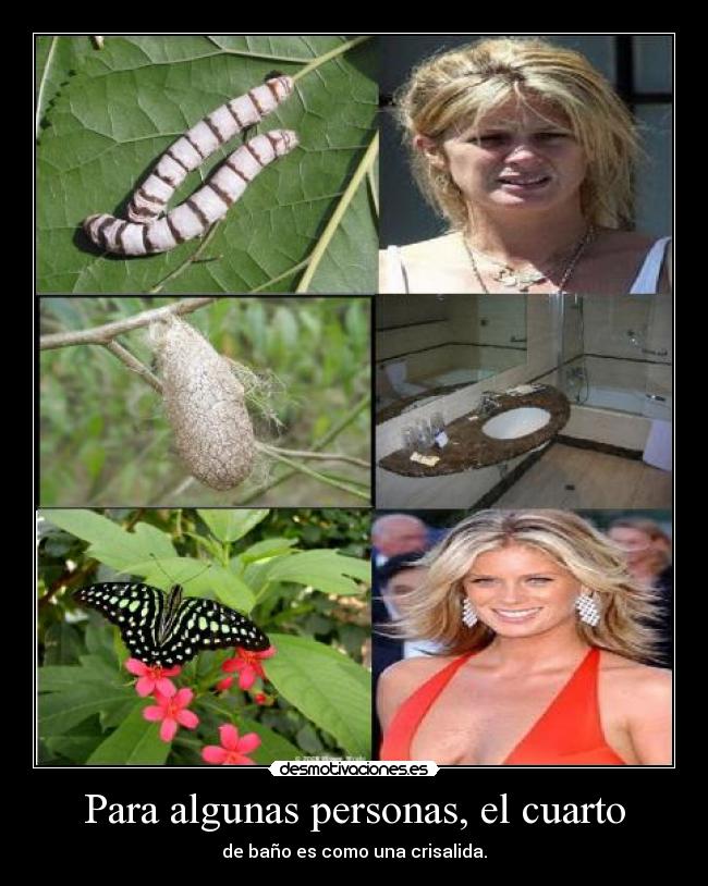 Para algunas personas, el cuarto -