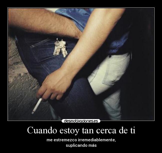 carteles cuando estoy cerca estremezco irrremediablemente suplicando mas brii desmotivaciones
