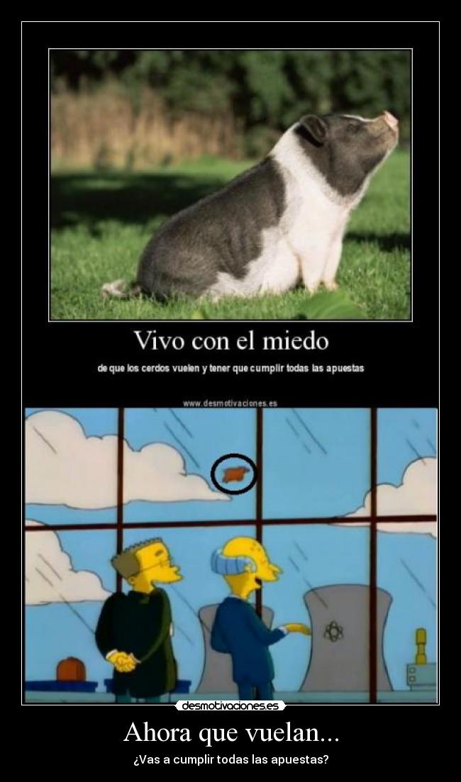 Ahora que vuelan... - 