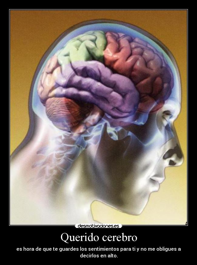 Querido cerebro - es hora de que te guardes los sentimientos para ti y no me obligues a decirlos en alto.