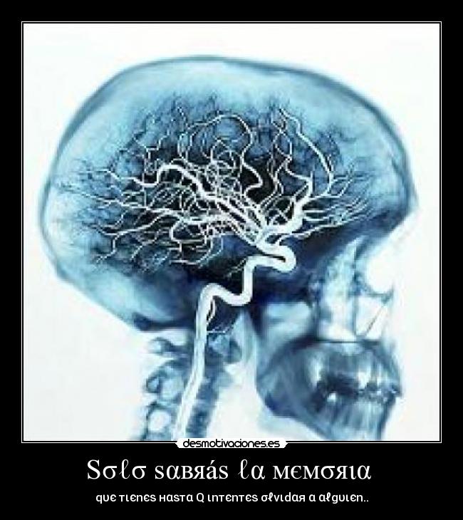 Sσℓσ ѕαвяáѕ ℓα мємσяια - qυє тιєnєѕ нαѕтα Q ιnтєnтєѕ σℓνιdαя α αℓgυιєn..