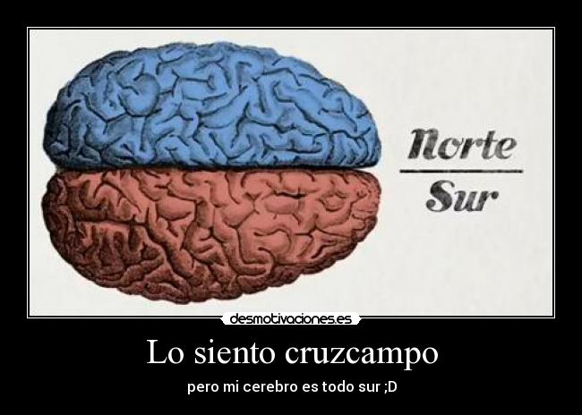 Lo siento cruzcampo -