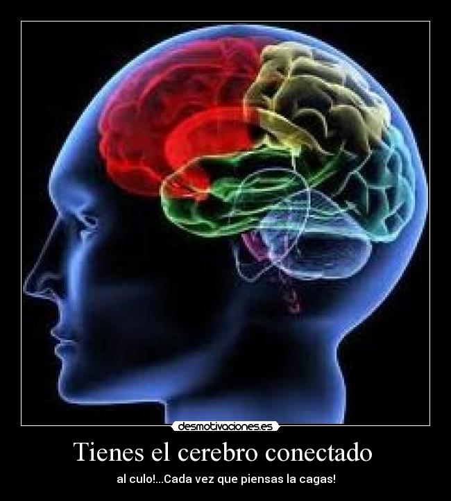 Tienes el cerebro conectado  - 