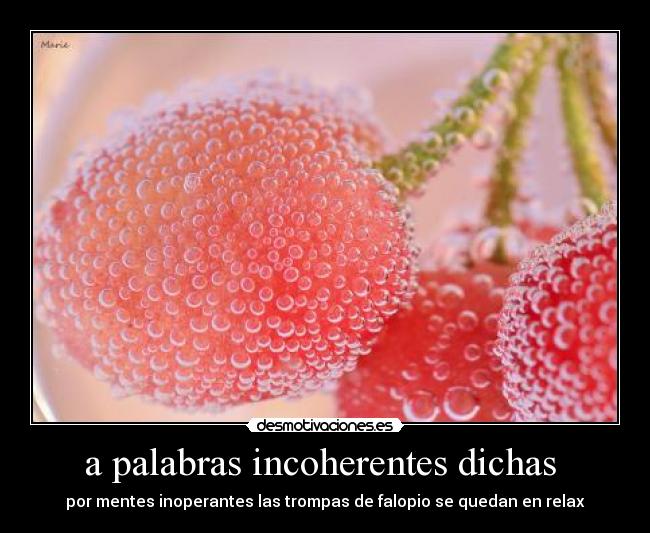 a palabras incoherentes dichas  - por mentes inoperantes las trompas de falopio se quedan en relax