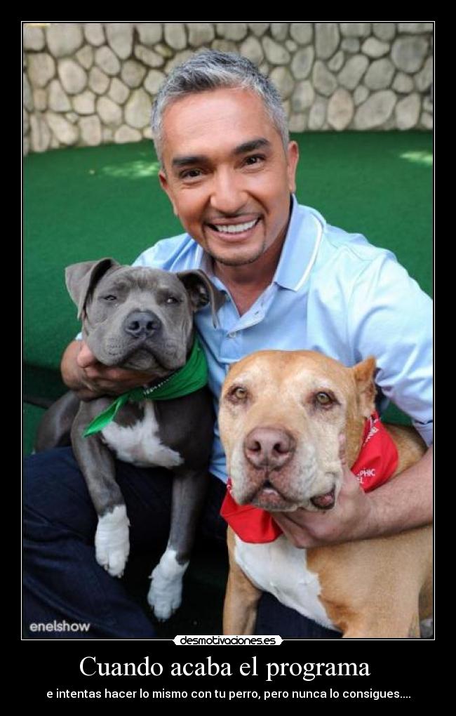 Cuando acaba el programa -