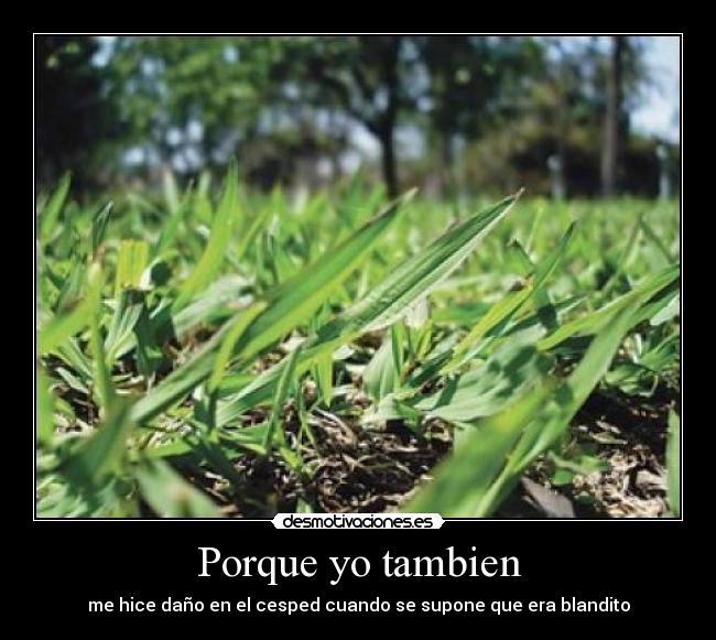 Porque yo tambien - me hice daño en el cesped cuando se supone que era blandito