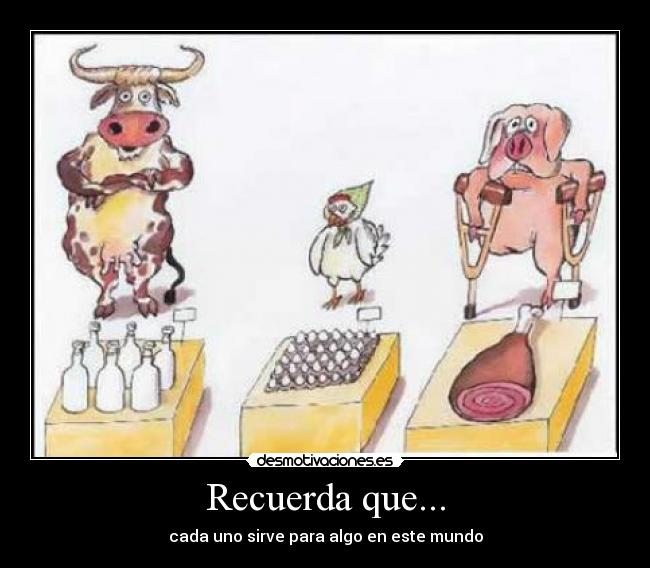 Recuerda que... - cada uno sirve para algo en este mundo