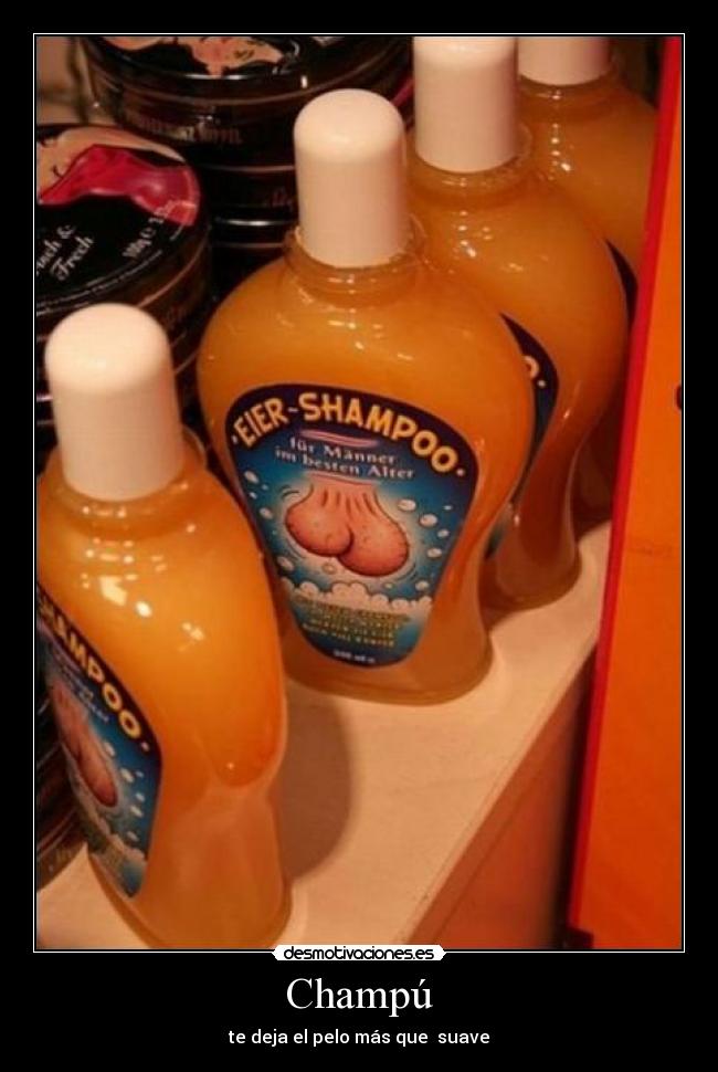 Champú - 