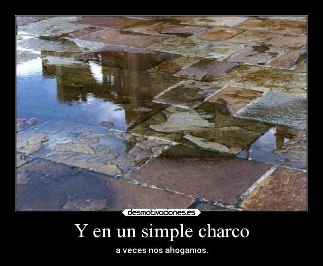Y en un simple charco -