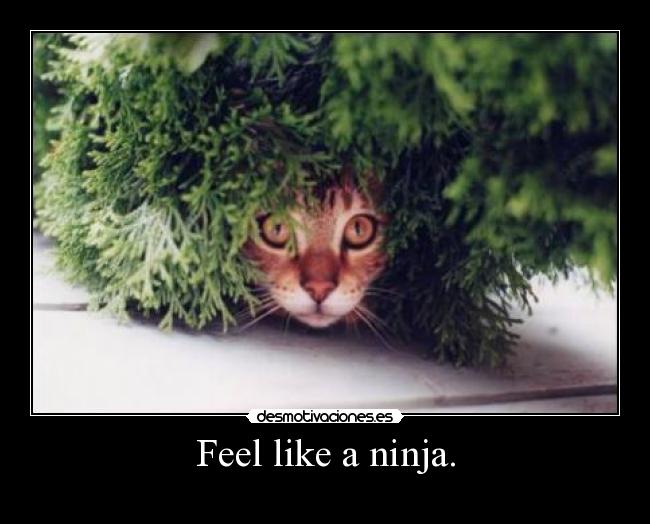 carteles sanny desmotivaciones