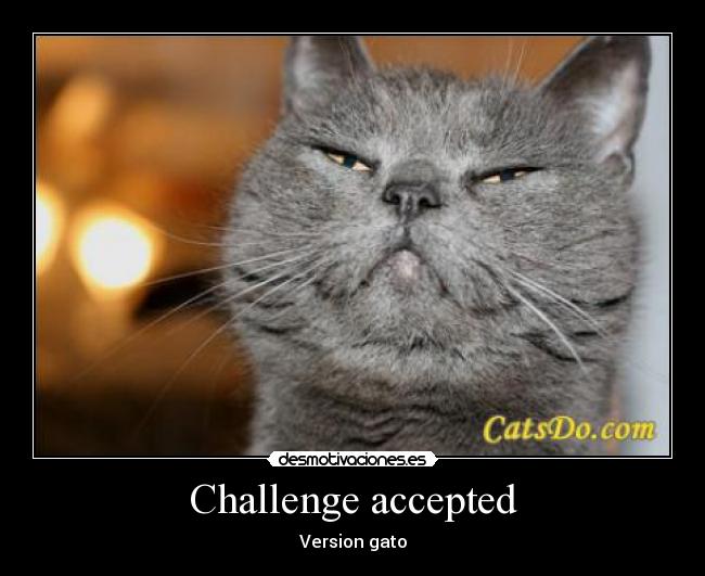 Challenge accepted - Version gato