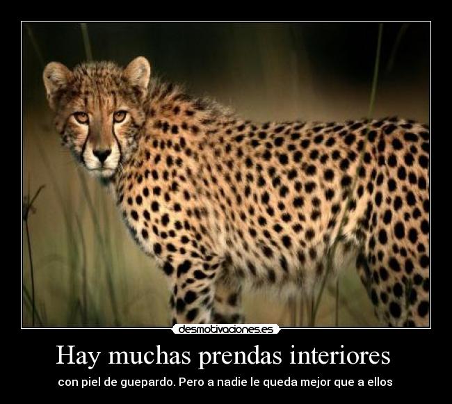 Hay muchas prendas interiores -