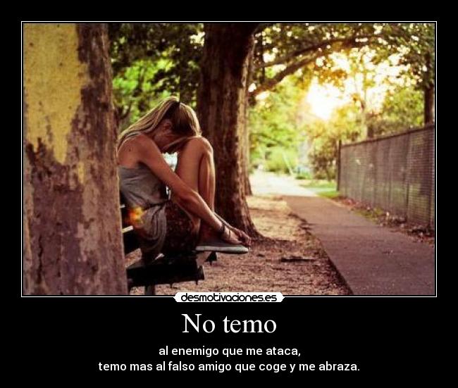  No temo  - al enemigo que me ataca,
temo mas al falso amigo que coge y me abraza.