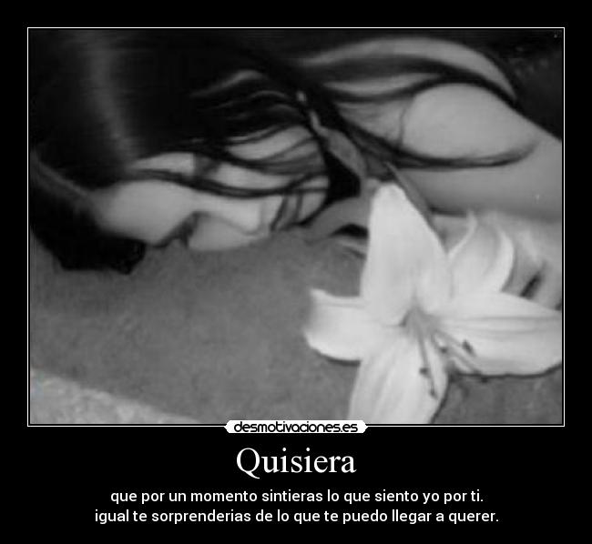 Quisiera - 