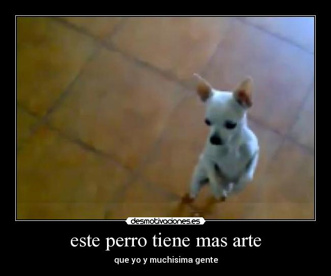 este perro tiene mas arte - que yo y muchisima gente