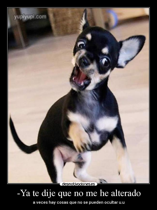 -Ya te dije que no me he alterado - a veces hay cosas que no se pueden ocultar u.u