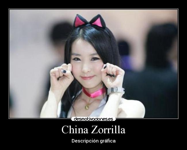 carteles china zorrilla desmotivaciones