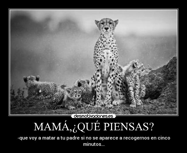 MAMÁ,¿QUÉ PIENSAS? - -que voy a matar a tu padre si no se aparece a recogernos en cinco minutos...