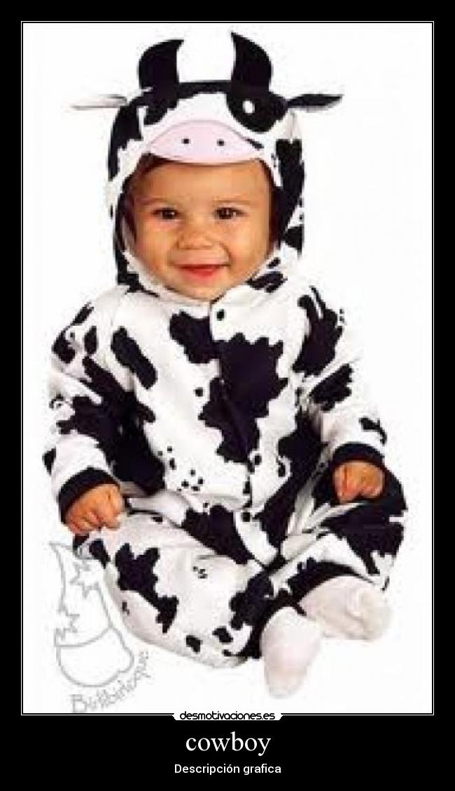 cowboy - Descripción grafica