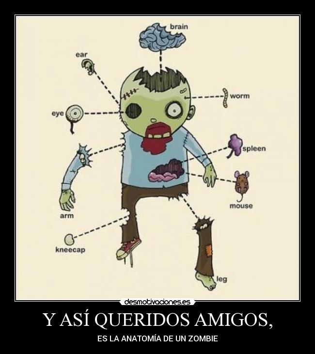 carteles amigos walt_k desmotivaciones