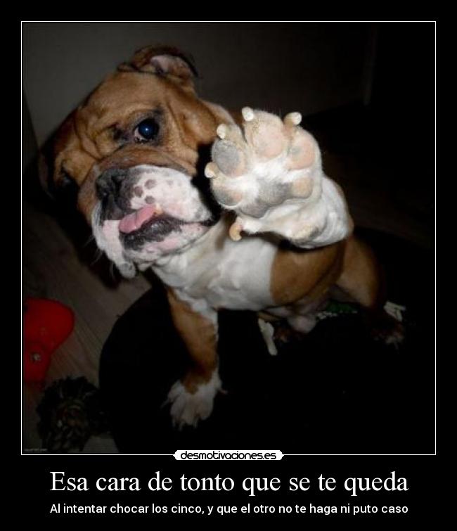 Esa cara de tonto que se te queda -