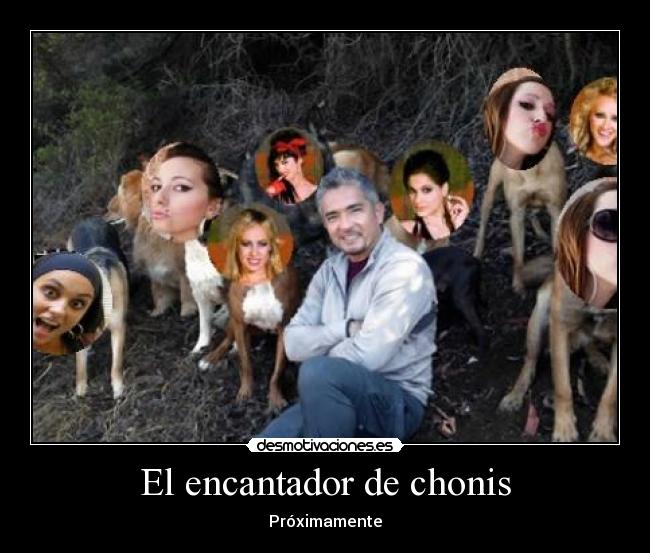 El encantador de chonis -