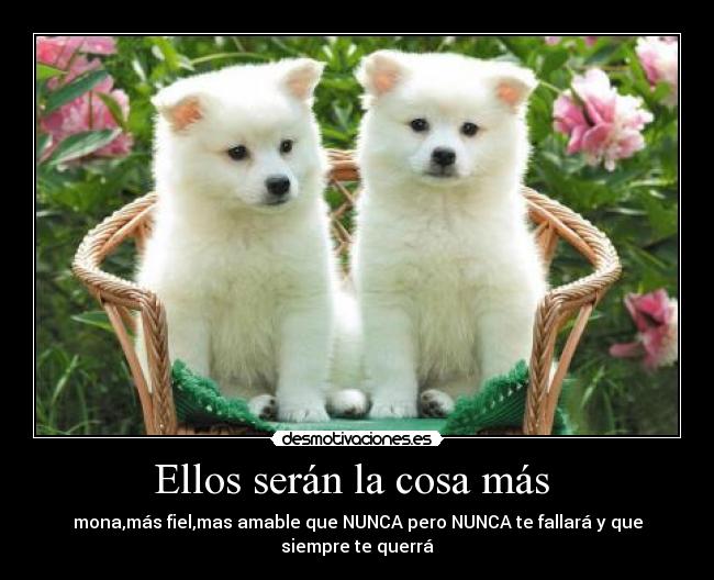 Ellos serán la cosa más -