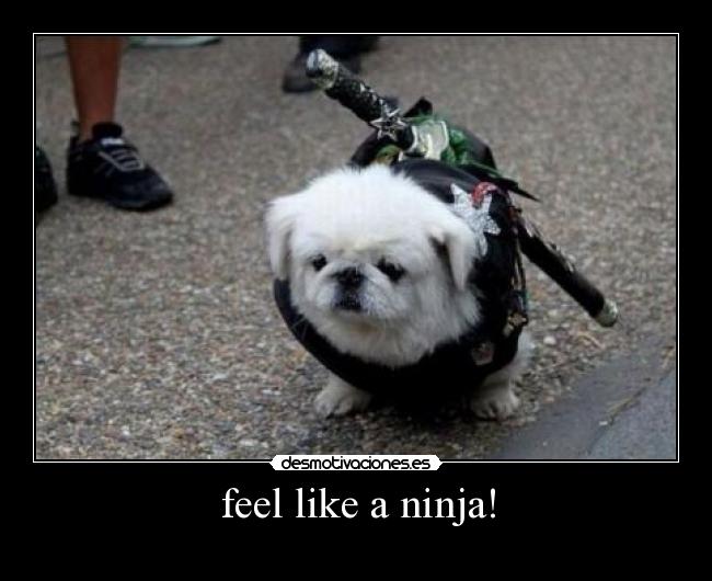 feel like a ninja! -