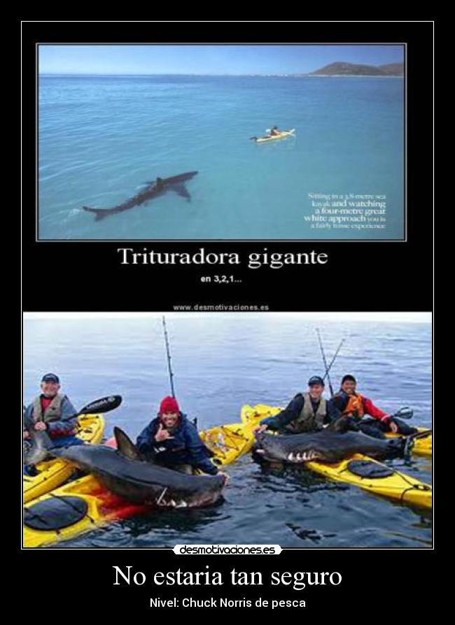 No estaria tan seguro - Nivel: Chuck Norris de pesca