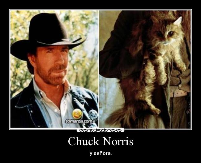 Chuck Norris - 