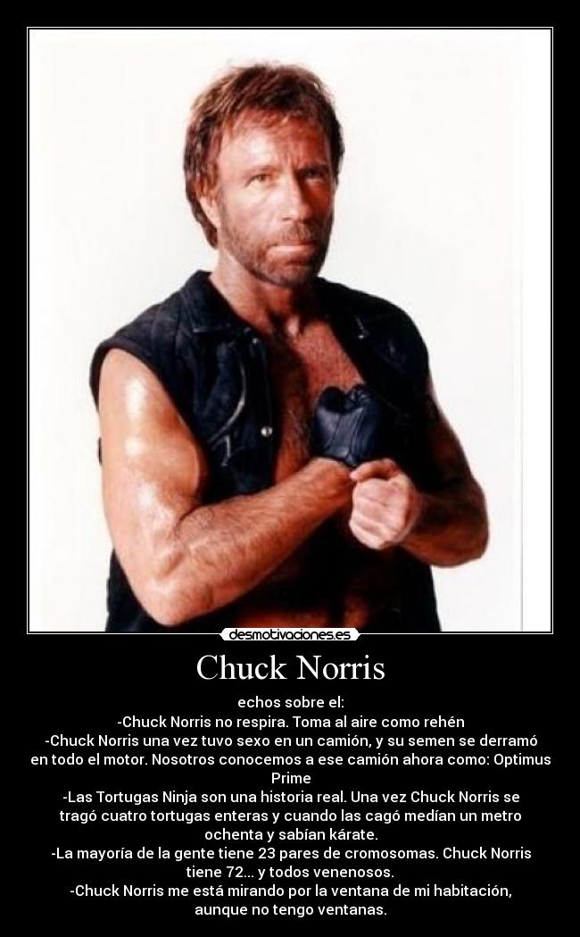 Chuck Norris - echos sobre el:
-Chuck Norris no respira. Toma al aire como rehén
-Chuck Norris una vez tuvo sexo en un camión, y su semen se derramó
en todo el motor. Nosotros conocemos a ese camión ahora como: Optimus
Prime
-Las Tortugas Ninja son una historia real. Una vez Chuck Norris se
tragó cuatro tortugas enteras y cuando las cagó medían un metro
ochenta y sabían kárate.
-La mayoría de la gente tiene 23 pares de cromosomas. Chuck Norris
tiene 72... y todos venenosos.
-Chuck Norris me está mirando por la ventana de mi habitación,
aunque no tengo ventanas.