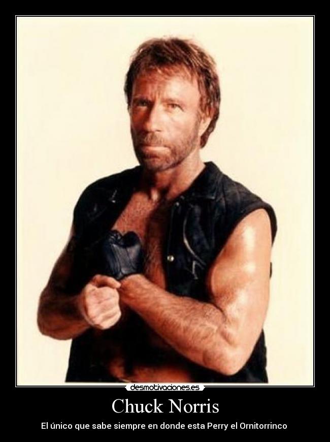 Chuck Norris - 