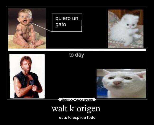 walt k origen -
