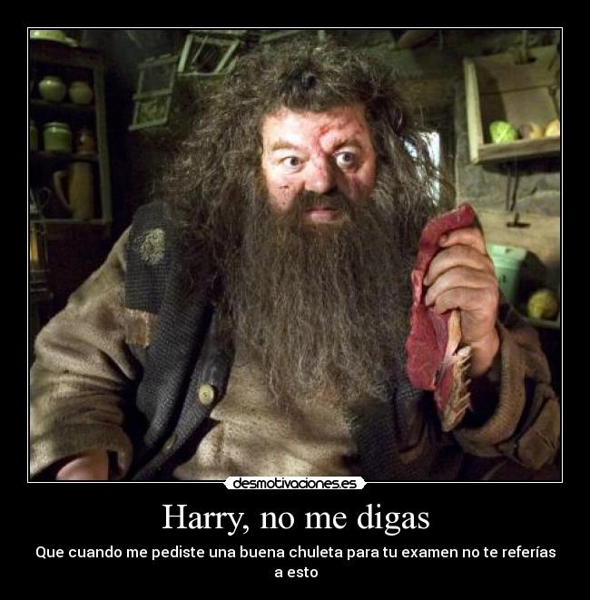 Harry, no me digas - Que cuando me pediste una buena chuleta para tu examen no te referías a esto