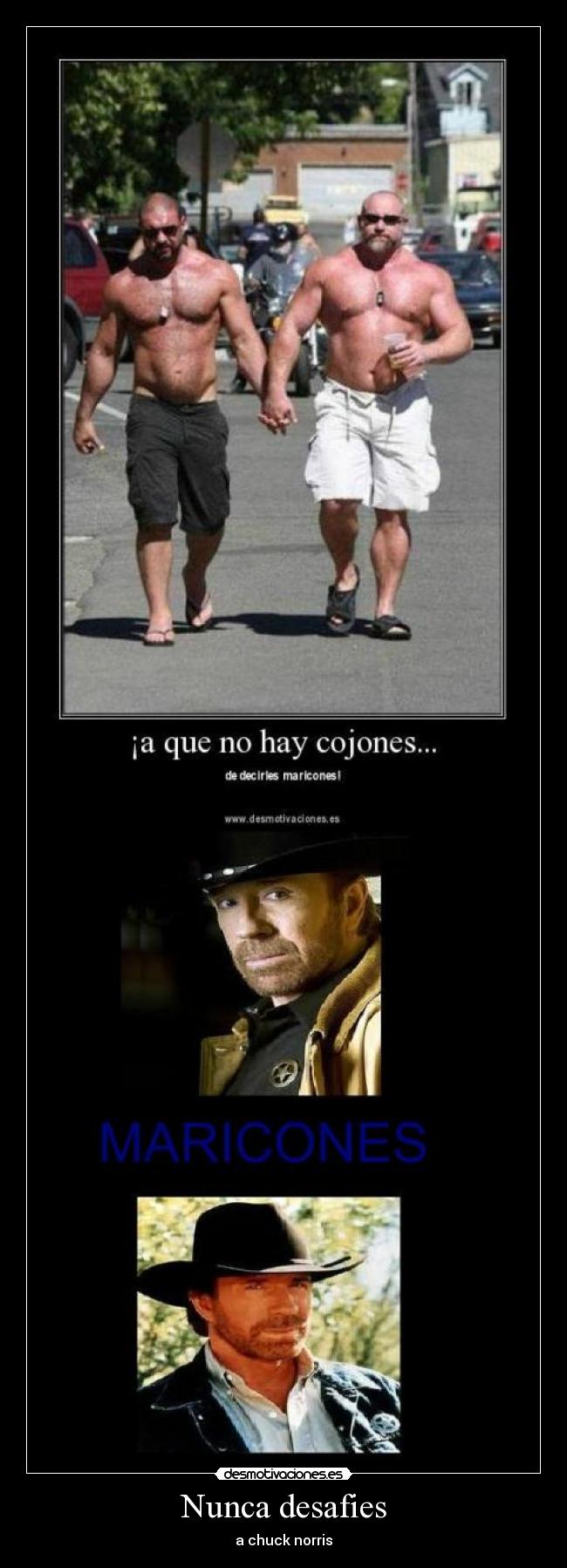 Nunca desafies - a chuck norris