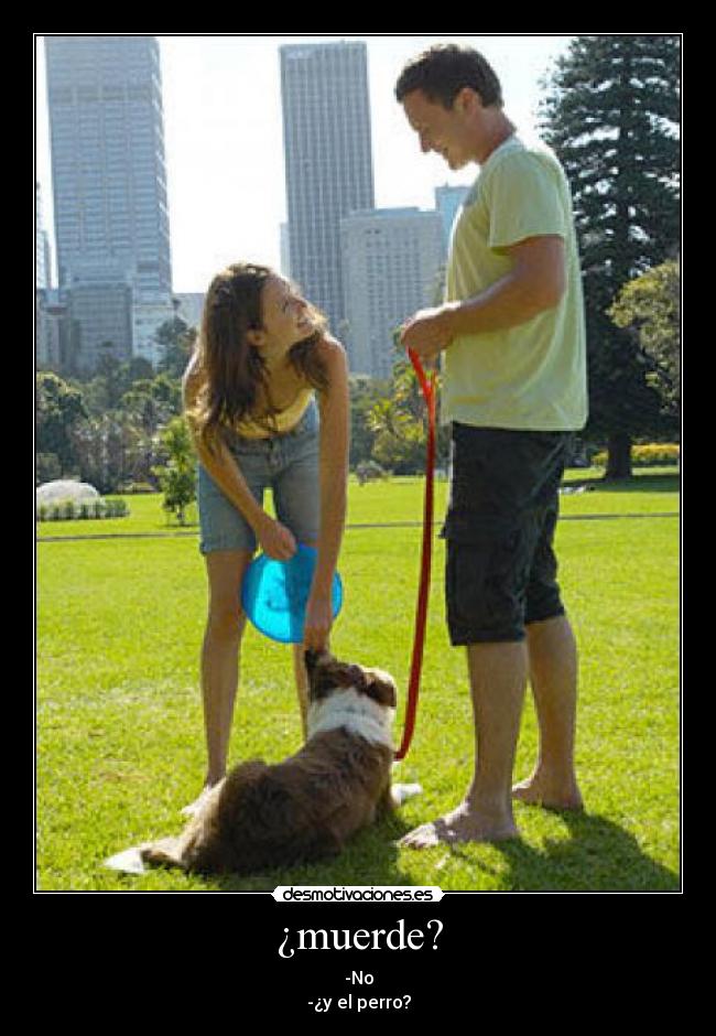 ¿muerde? - -No
-¿y el perro?