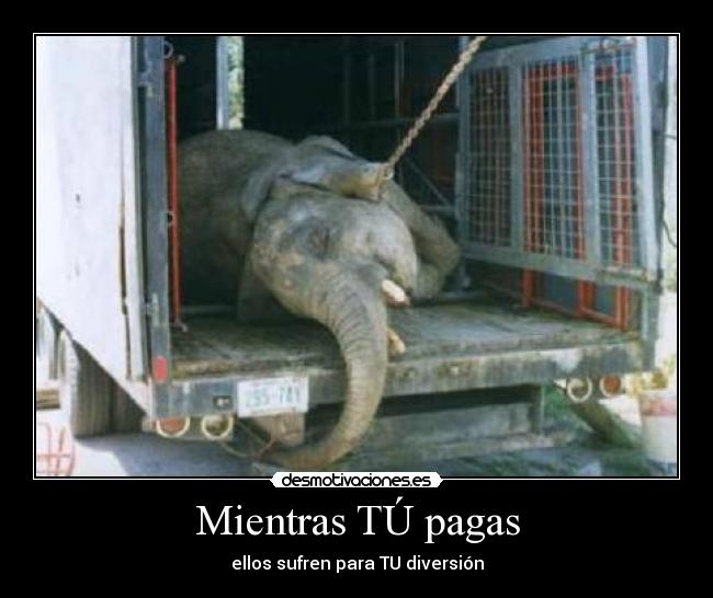 Mientras TÚ pagas -