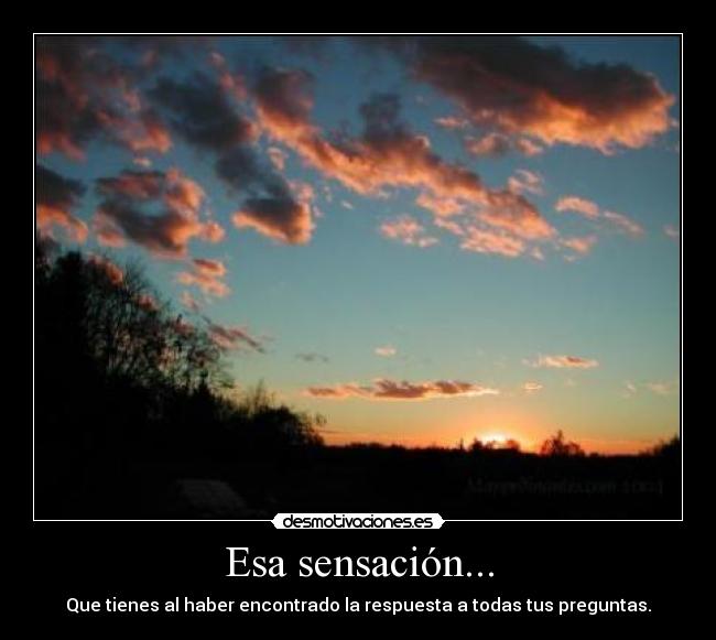 Esa sensación... - Que tienes al haber encontrado la respuesta a todas tus preguntas.