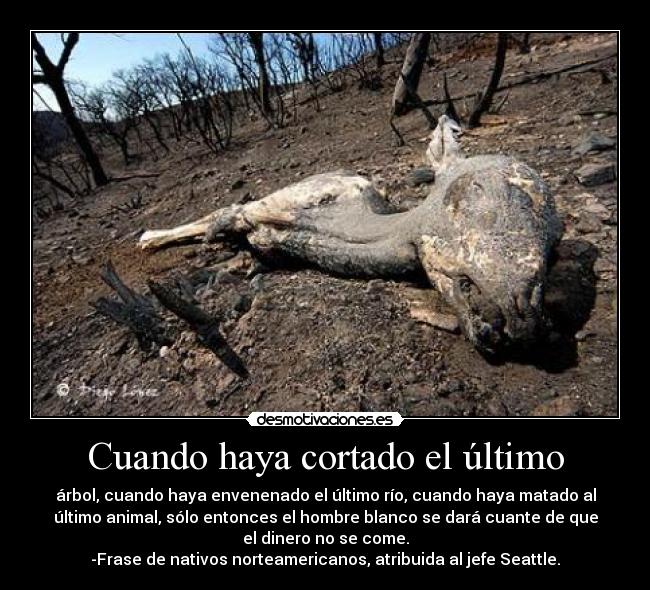 Cuando haya cortado el último - árbol, cuando haya envenenado el último río, cuando haya matado al
último animal, sólo entonces el hombre blanco se dará cuante de que
el dinero no se come.
-Frase de nativos norteamericanos, atribuida al jefe Seattle.