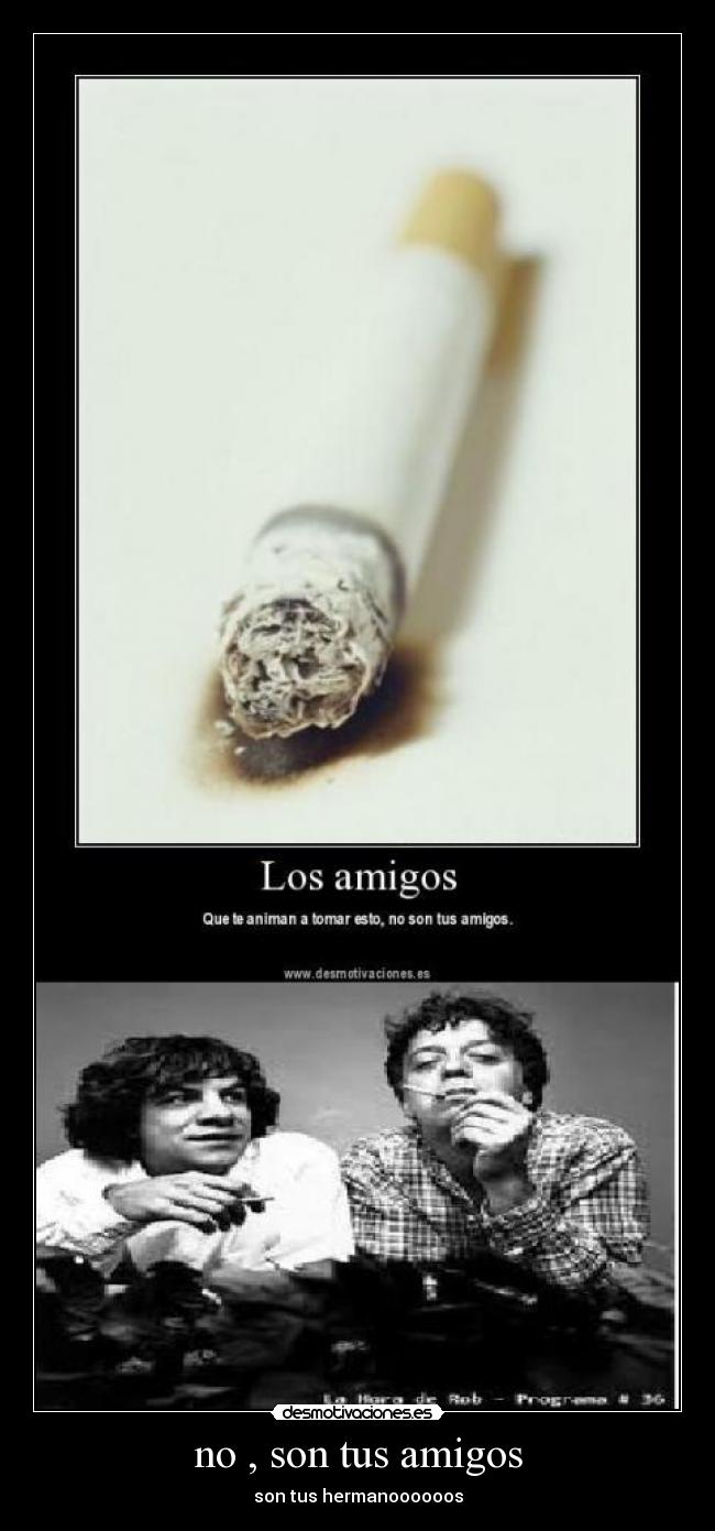 no , son tus amigos -