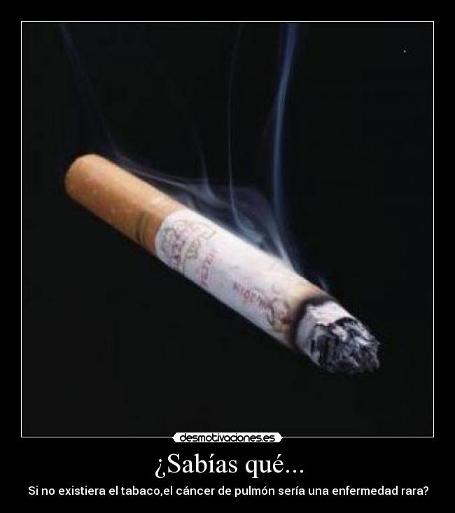 ¿Sabías qué... -