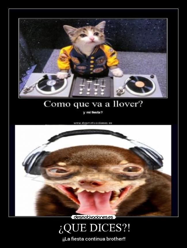 carteles ingrid96 sbe fastopes esperandolamuerte alexia cjsa traka tra lp1996 diiru desmotivaciones