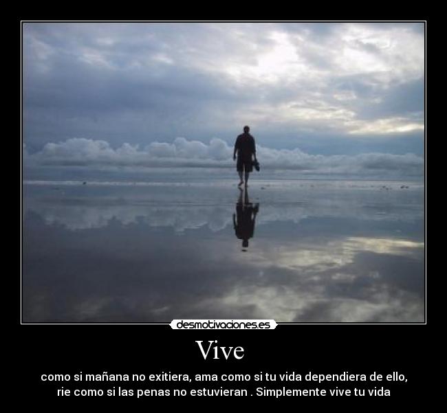 Vive  - 