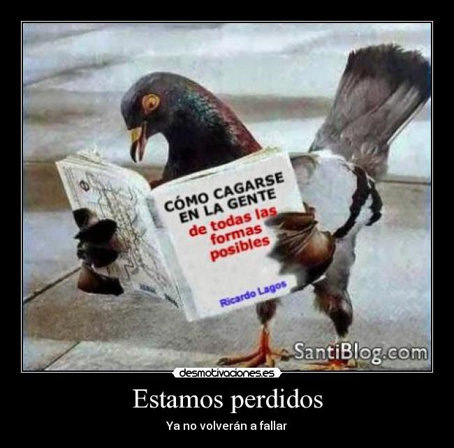 carteles palomas cagar clavarla desmotivaciones