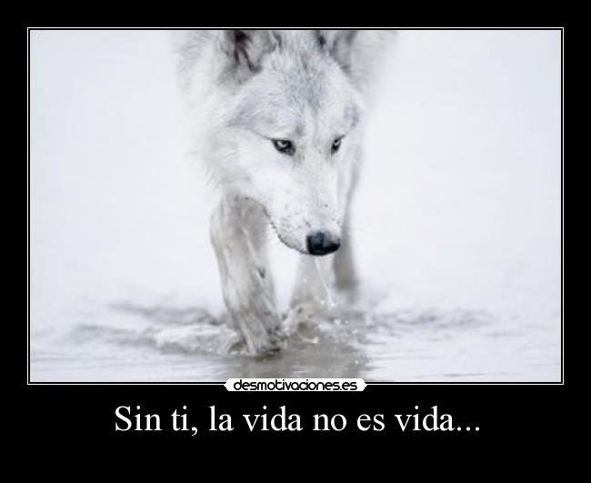 carteles vida vida sasd desmotivaciones