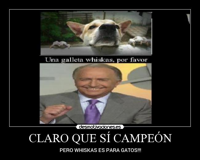 CLARO QUE SÍ CAMPEÓN - PERO WHISKAS ES PARA GATOS!!!