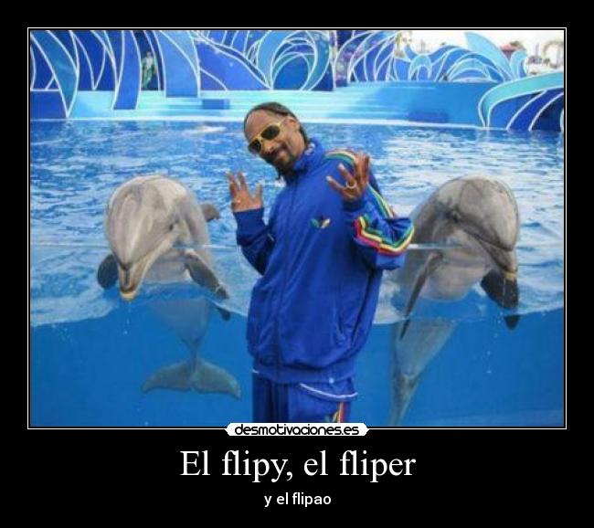 El flipy, el fliper - y el flipao