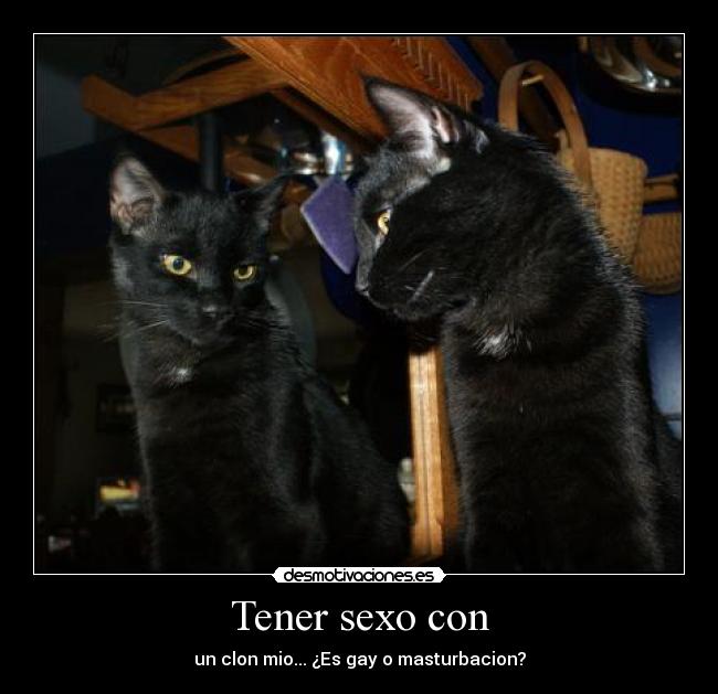 Tener sexo con -